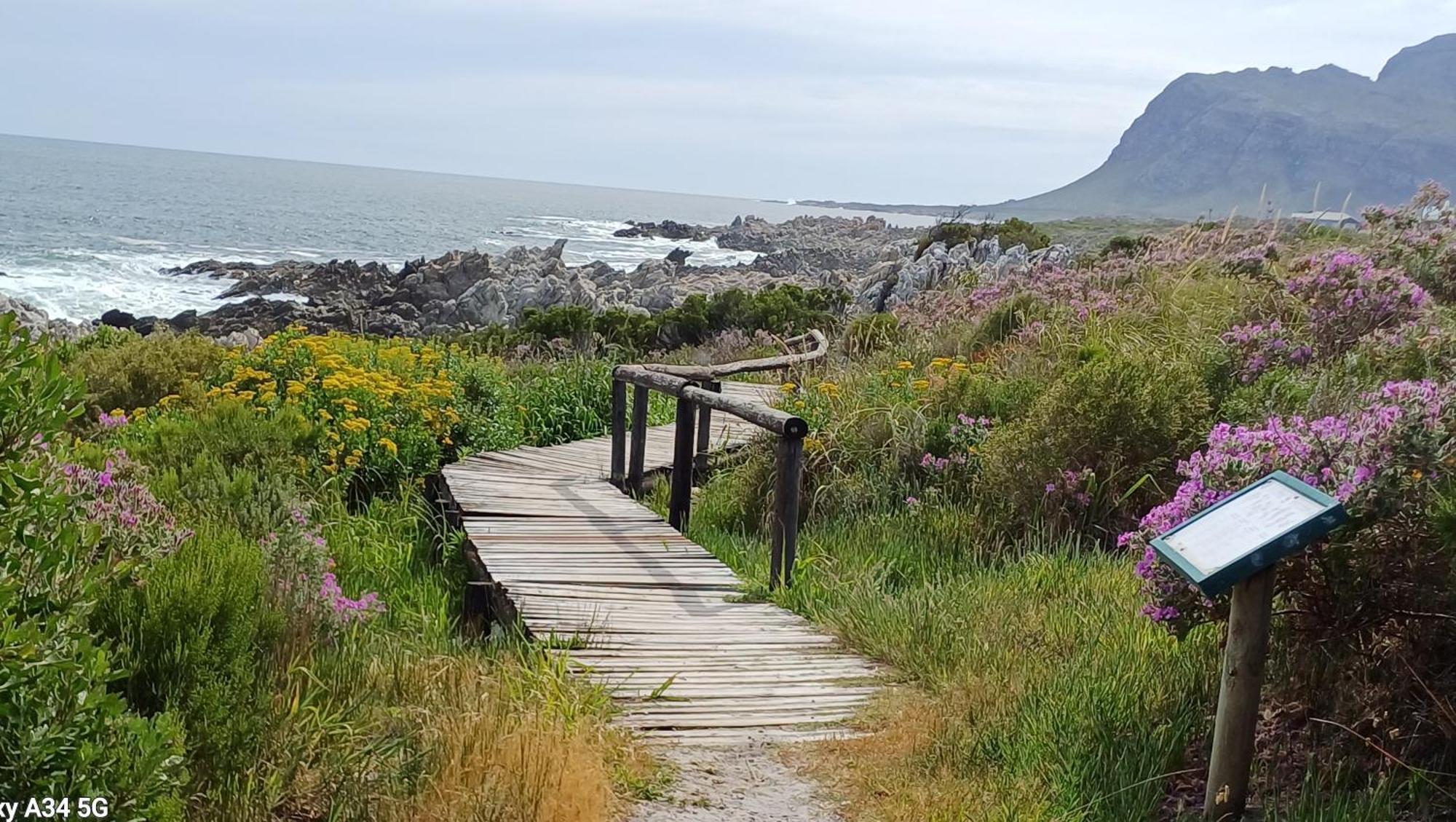 Kleinmond Panorama Holidays المظهر الخارجي الصورة